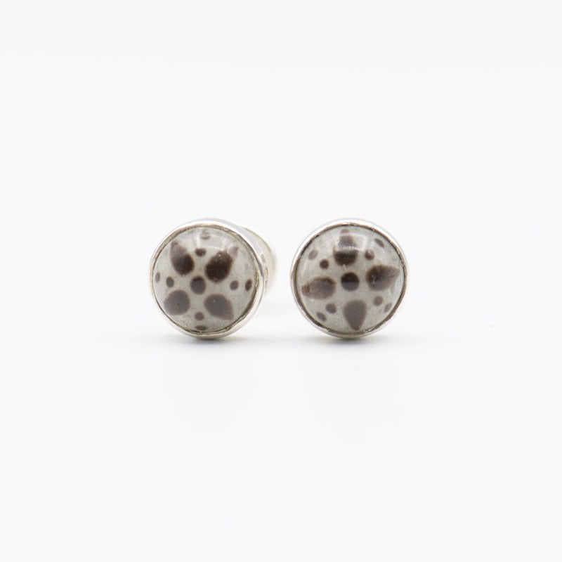 Medium round box earrings: Star